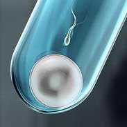 快来了解2026试管助孕的收费项目，附降低试管助孕费用的方法