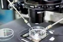 台湾试管婴儿费用组成「台湾试管婴儿医院」