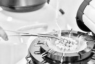 深圳生殖科做试管比较好的有哪些？附医院详情？