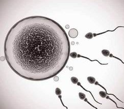 一分钟告诉你三代试管如何选胚胎，有什么注意事项