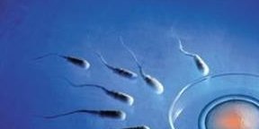 去香港做试管婴儿必备要求，确保有一份正式邀请函