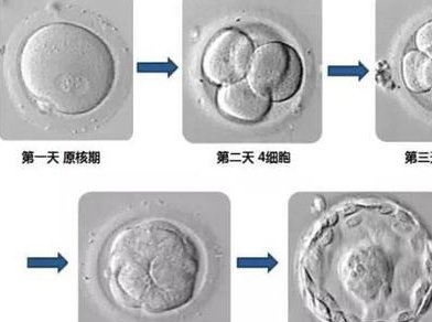 江西南昌助孕机构排行榜（附电子版）