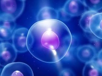 2026年北京医科大学第三医院试管医生排名，李红未列榜单前列