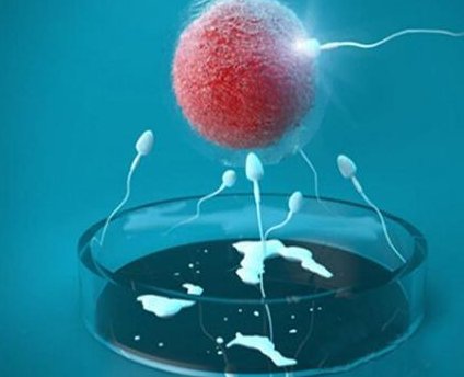 河南三代试管可以选择XY？河南洛阳妇幼和洛阳中心医院哪个做试管好？